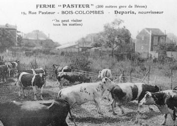 La Ferme Pasteur au milieu du XXème siècle (AMBC)